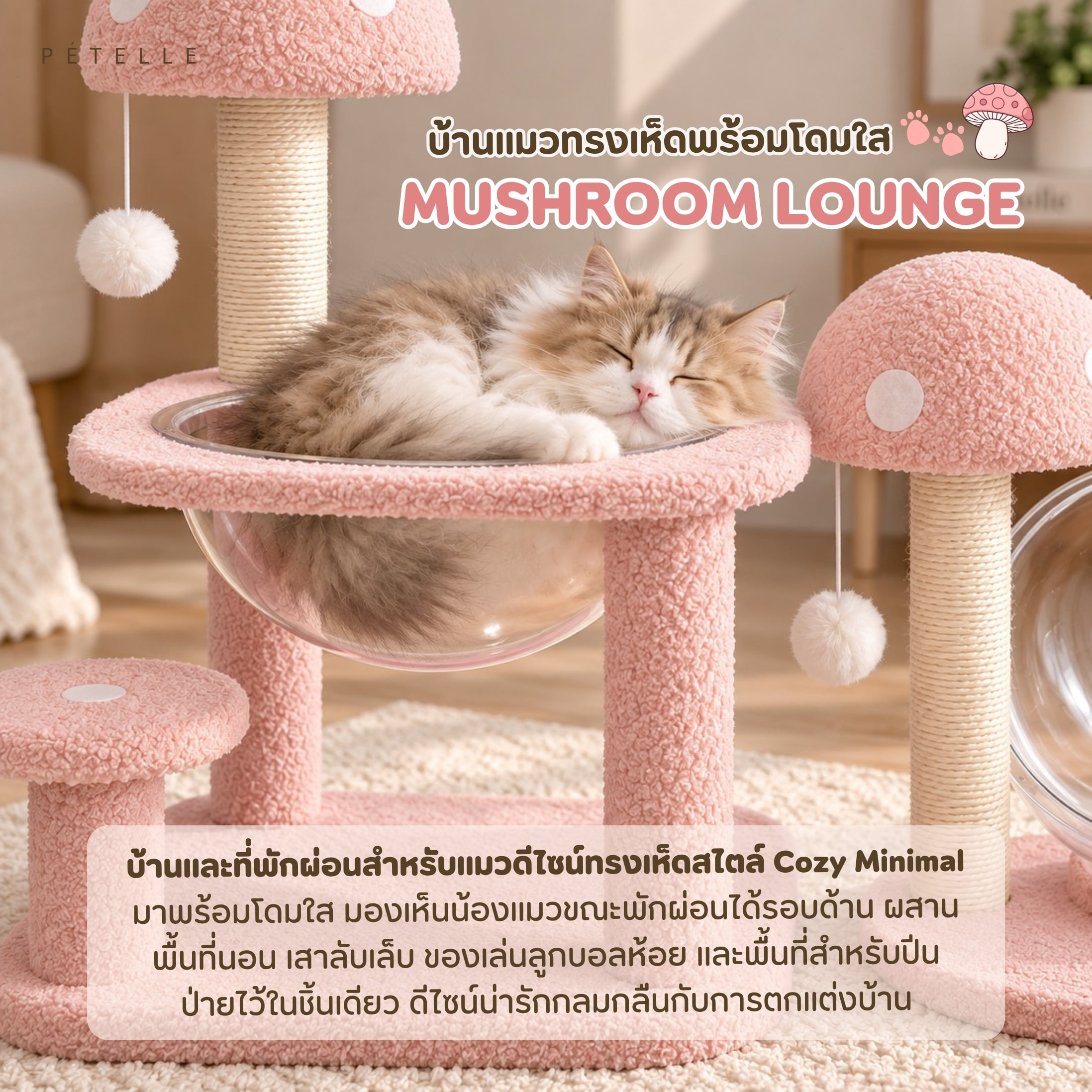 บ้านเห็ดแมวพร้อมโดมใส PETELLE รุ่น MUSHROOM LOUNGE ไซส์ L_1